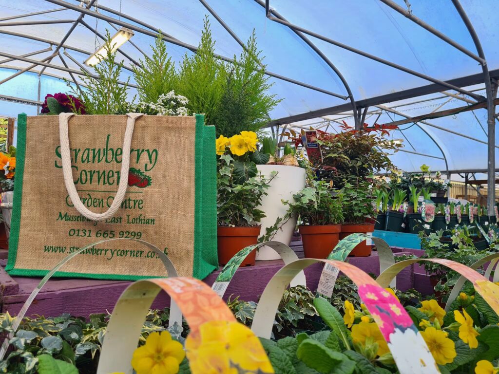 Strawberry Corner Garden Centre
